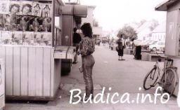Budica